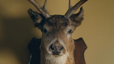穿越麦田剧照的剧照