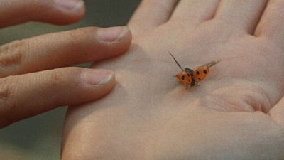 你是我的好朋友剧照的剧照