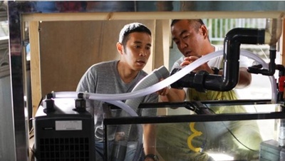 阳光灿烂 大海珊瑚小小的奇迹剧照的剧照