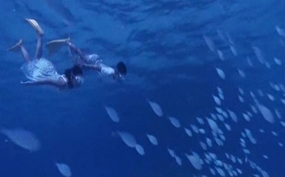 阳光灿烂 大海珊瑚小小的奇迹剧照的剧照