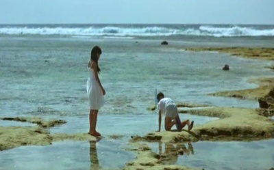 阳光灿烂 大海珊瑚小小的奇迹剧照的剧照