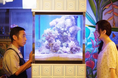 阳光灿烂 大海珊瑚小小的奇迹剧照的剧照