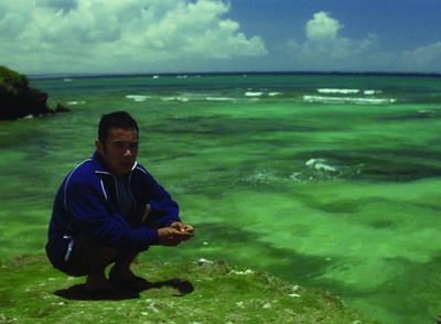 阳光灿烂 大海珊瑚小小的奇迹剧照的剧照