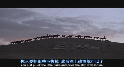 凯利党剧照的剧照