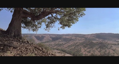 凯利党剧照的剧照