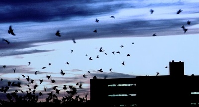 21克剧照的剧照