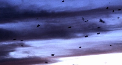 21克剧照的剧照