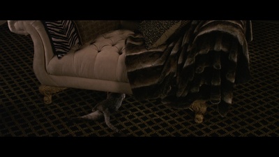 恶老板剧照的剧照