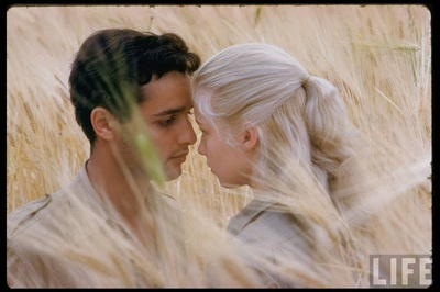 出埃及记剧照的剧照