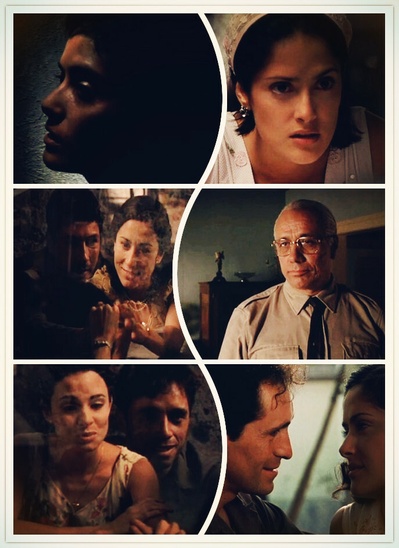 蝴蝶飞舞时剧照的剧照