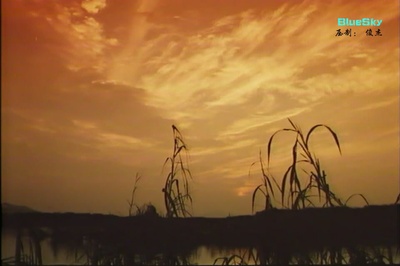 我要逃亡剧照的剧照