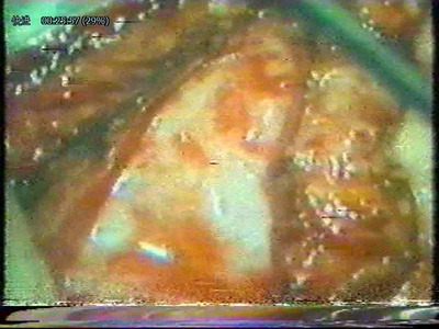 女魔终结者剧照的剧照