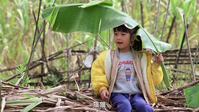 伴我闯天涯剧照的剧照