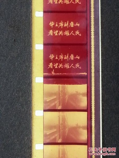 华主席到唐山看望英雄人民剧照的剧照