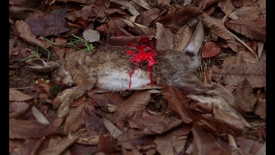 夜惊魂剧照的剧照