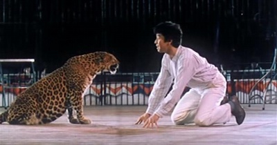 少爷威威剧照的剧照