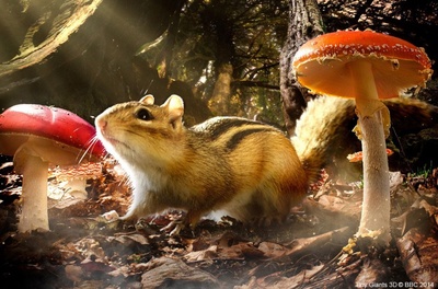 小巨人 3D剧照的剧照