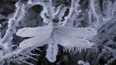 小巨人 3D剧照的剧照