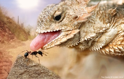 小巨人 3D剧照的剧照