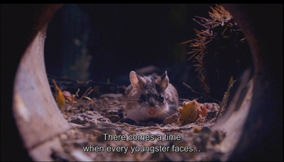 小巨人 3D剧照的剧照