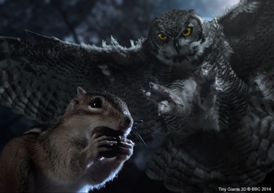 小巨人 3D剧照的剧照