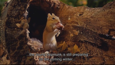 小巨人 3D剧照的剧照