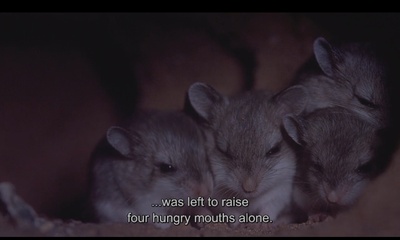 小巨人 3D剧照的剧照