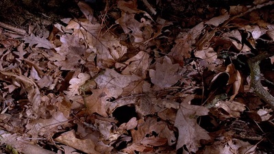 小巨人 3D剧照的剧照