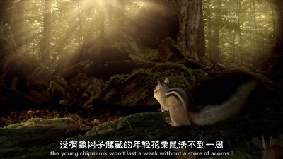 小巨人 3D剧照的剧照