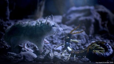 小巨人 3D剧照的剧照