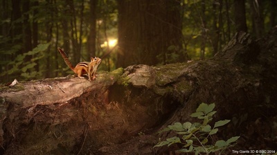 小巨人 3D剧照的剧照