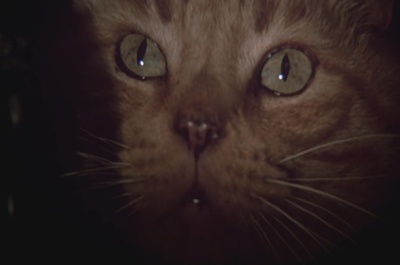 恐怖大全剧照的剧照