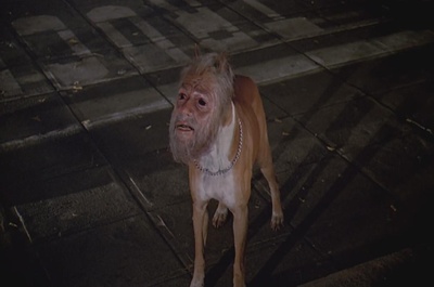 恐怖大全剧照的剧照