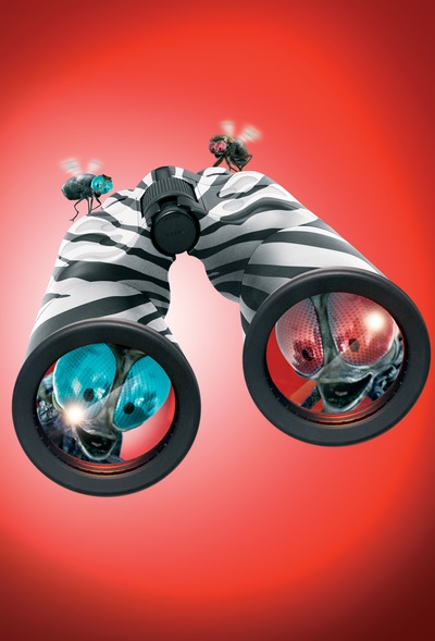 赛场大反攻剧照的剧照