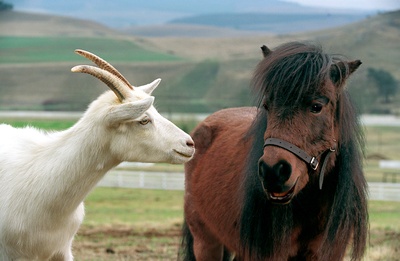 赛场大反攻剧照的剧照