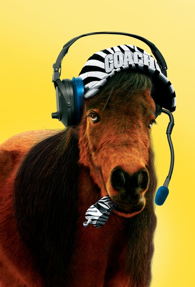 赛场大反攻剧照的剧照