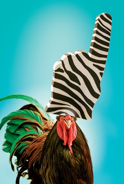 赛场大反攻剧照的剧照