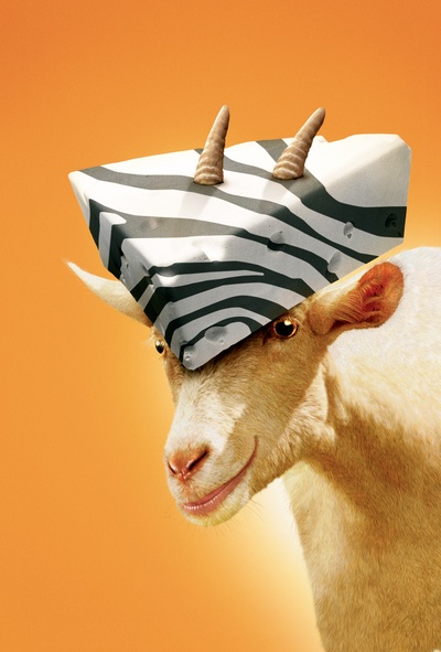 赛场大反攻剧照的剧照