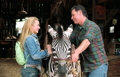 赛场大反攻剧照的剧照