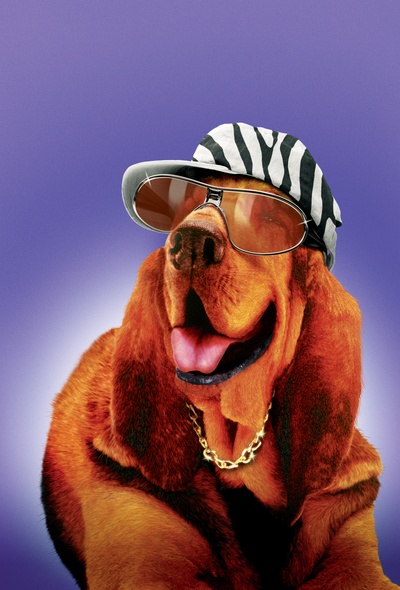 赛场大反攻剧照的剧照