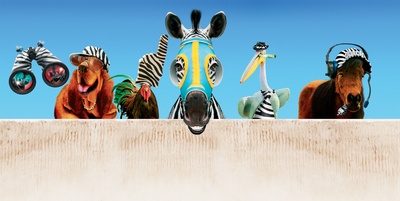 赛场大反攻剧照的剧照