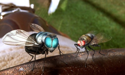 赛场大反攻剧照的剧照