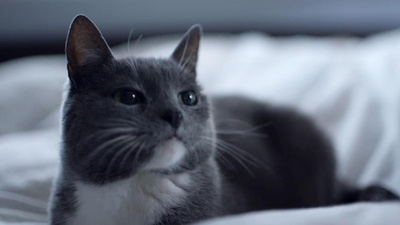 哈萌小镇剧照的剧照