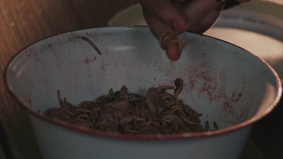 重见天日剧照的剧照