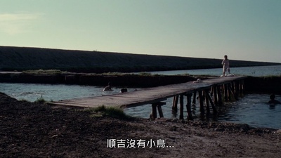 一只鸟仔哮啾啾剧照的剧照