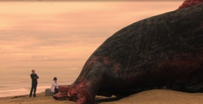 鲨鱼啾大战乌贼娘剧照的剧照