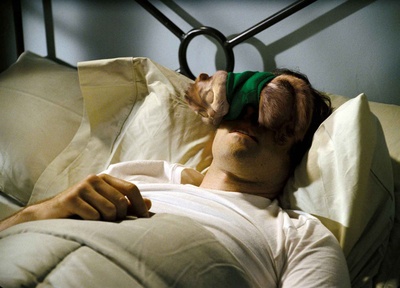 鼠来宝剧照的剧照