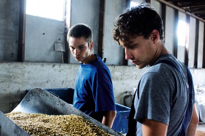 收割剧照的剧照