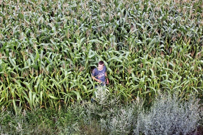 收割剧照的剧照