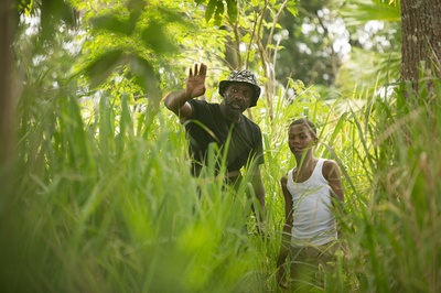 亚迪剧照的剧照